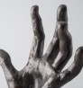 Hand of a Pianist