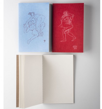 Set of 3 notebooks Le...
