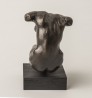 Small Female Torso